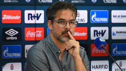 David Wagner ist beim FC Schalke 04 nicht unumstritten