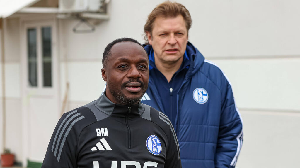 Verpflichtet der FC Schalke 04 einen neuen Stürmer? Verpflichtet der FC Schalke 04 einen neuen Stürmer?