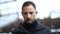 Domenico Tedesco erlebt beim FC Schalke 04 derzeit viele Tiefen