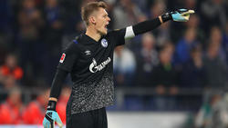 Der FC Schalke 04 bangt vor dem Heimspiel gegen den 1.FC Köln um Alexander Nübel