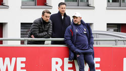 Der 1. FC Köln kämpft um den Klassenerhalt in der Bundesliga