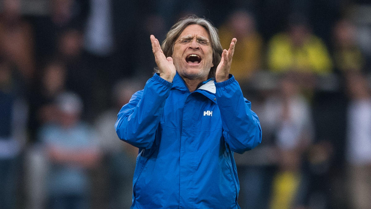 FC Schalke 04 bedient sich im Nachwuchs von BVB, HSV und 1. FC Köln FC Schalke 04 bedient sich im Nachwuchs von BVB, HSV und 1. FC Köln