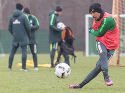 Die Grün-Weißen sind zurück auf dem Trainingsplatz