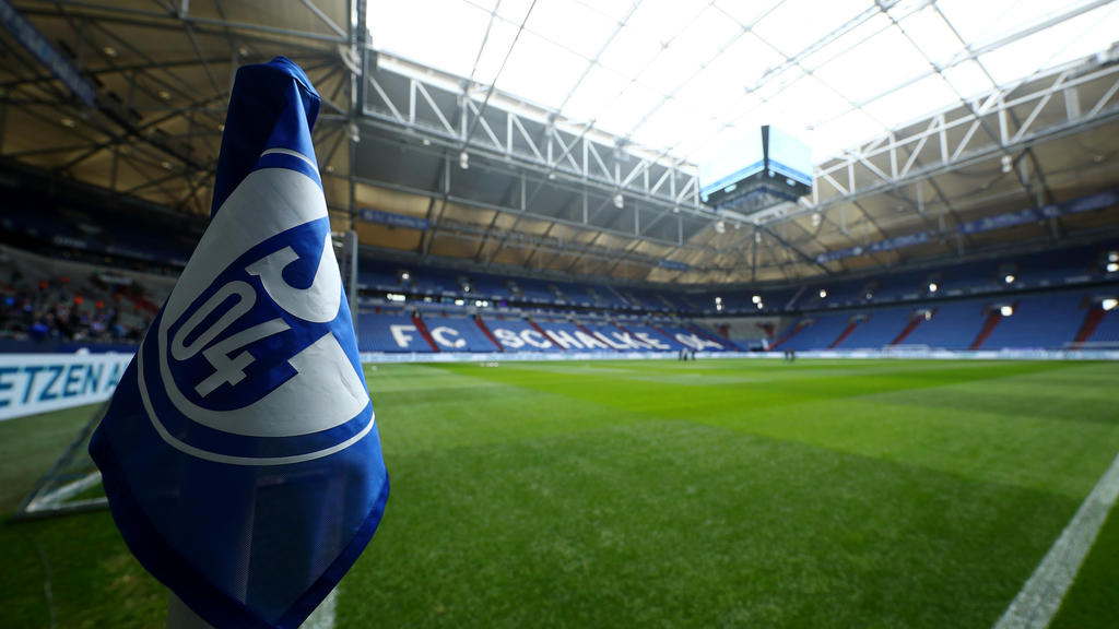 Veganes Stadienranking 2019 So Wurde Schalke Wieder Veggie Meister