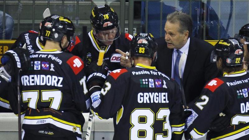 Die Krefeld Pinguine sind von der Insolvenz bedroht Die Krefeld Pinguine sind von der Insolvenz bedroht