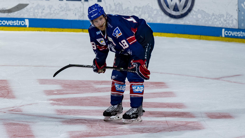 Die Adler Mannheim sind Titelverteidiger der DEL Die Adler Mannheim sind Titelverteidiger der DEL
