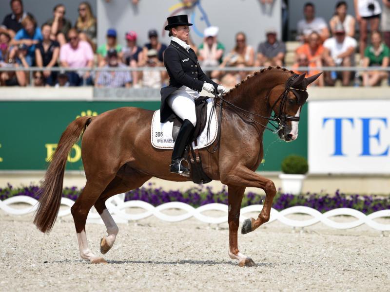 Isabell Werth verzichtet mit Bella Rose auf einen Start. Foto: Uwe Anspach Isabell Werth verzichtet mit Bella Rose auf einen Start. Foto: Uwe Anspach