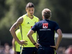 Schwedens Nationaltrainer Hamrén will seinen Topstar beim Team behalten