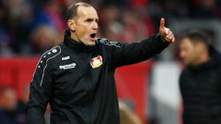 Heiko Herrlich ist bei Bayer Leverkusen nicht unumstritten