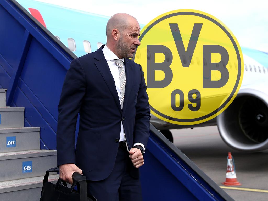 Peter Bosz übernimmt das Trainer-Amt bei Borussia Dortmund