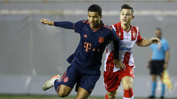 Malik Tillman spielt in der U19 des FC Bayern
