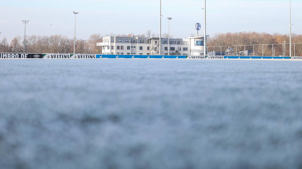 Beim FC Schalke wird wieder trainiert - noch ohne neuen Cheftrainer Beim FC Schalke wird wieder trainiert - noch ohne neuen Cheftrainer