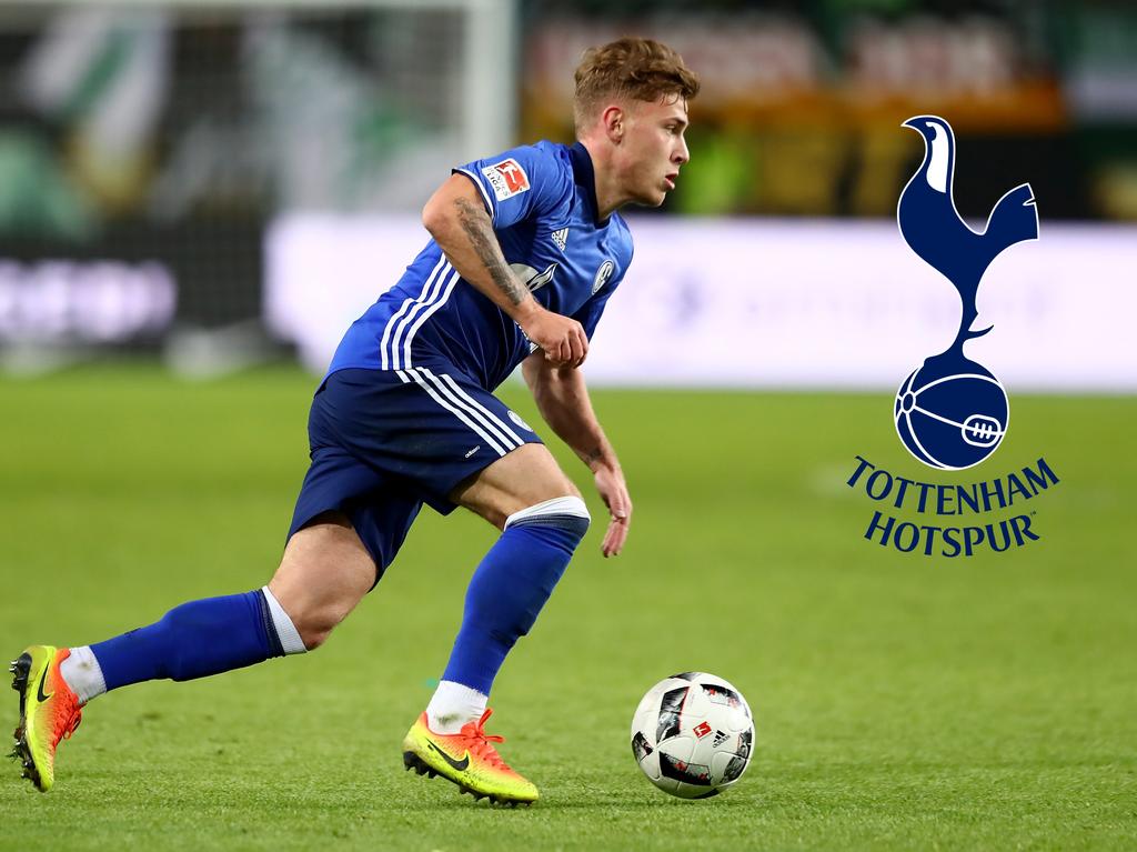 Kann Schalkes Max Meyer den Rufen aus Tottenham widerstehen?