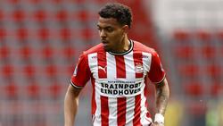 Donyell Malen soll sich mit dem BVB einig sein