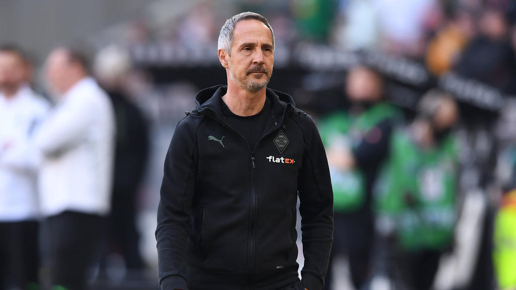 Adi Hütter ist bei Gladbach wohl nicht unumstritten Adi Hütter ist bei Gladbach wohl nicht unumstritten
