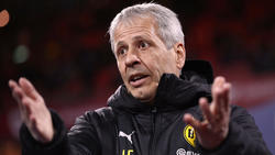 Lucien Favre ist seit dieser Saison BVB-Trainer