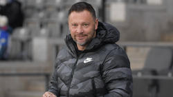 Trainer Pál Dárdai wird mit Ferencváros Budapest in Verbindung gebracht