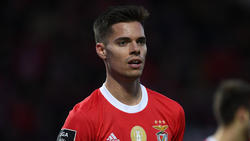 Julian Weigl wechselte vom BVB zu Benfica