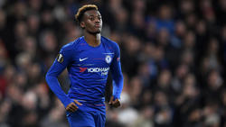 Callum Hudson-Odoi gilt als eines der größten Talente der Chelsea-Akademie
