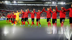 Der SC Freiburg sorgt in der Bundesliga mal wieder für Furore
