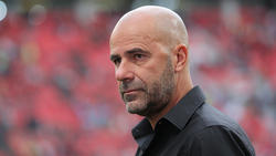 Peter Bosz steht wohl vor einer Verlängerung bei Bayer Leverkusen