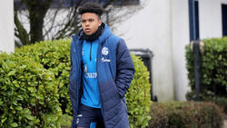 Weston McKennie steht bis 2024 beim FC Schalke unter Vertrag