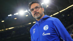David Wagner ist stolz auf sein Team, drückt aber auf die Schalker Euphorie-Bremse