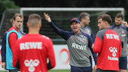 Trainer Struber und der 1. FC Köln wollen zurück in die Bundesliga