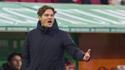 Edin Terzic trainiert seit der vergangenen Saison wieder den BVB