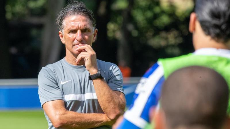 Bruno Labbadia und der Hertha stehen ein paar Windhort-Millionen zur Verfügung Bruno Labbadia und der Hertha stehen ein paar Windhort-Millionen zur Verfügung