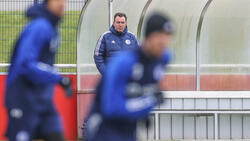 Marc Wilmots und der FC Schalke 04 suchen Neuzugänge
