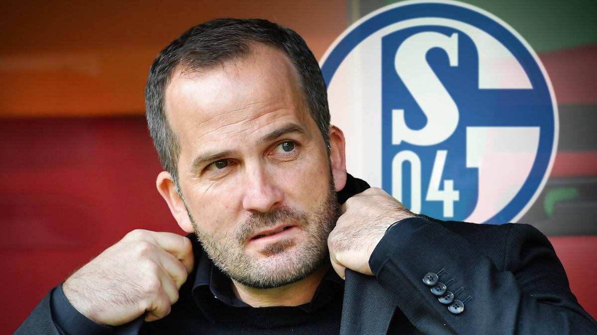 Manuel Baum ist neuer Coach des FC Schalke 04 Manuel Baum ist neuer Coach des FC Schalke 04