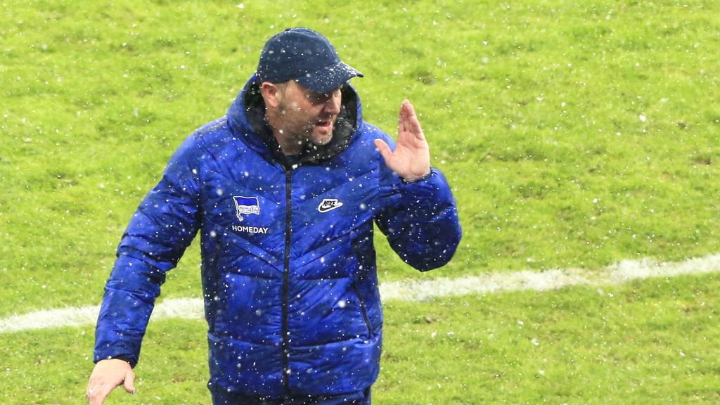 Pál Dárdai warnt vor Panik im Abstiegskampf