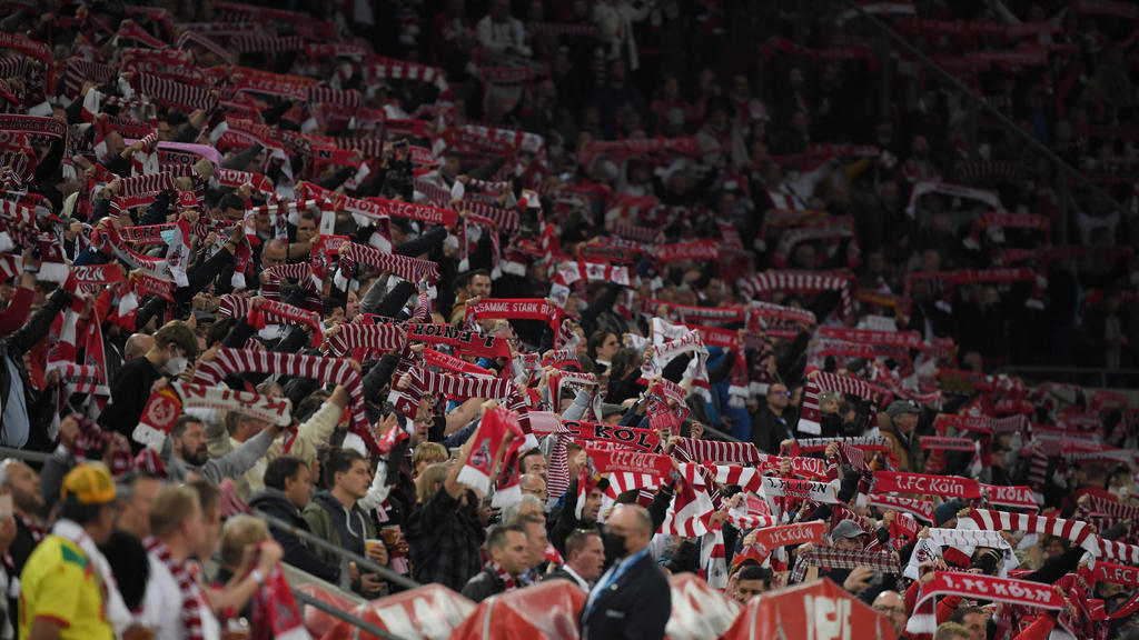 Die Kölner Fans können sich am Sonntag auf ein volles Haus freuen