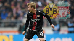 Wohin zieht es Julian Brandt im Sommer?