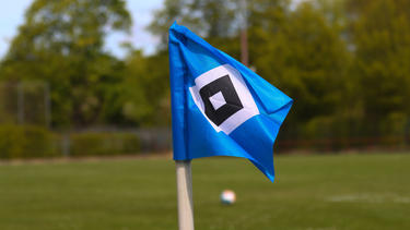 Farid Alfa-Ruprecht hat den HSV offenbar verlassen