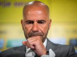 Peter Bosz plant im BVB-Training weiterhin mit Pierre-Emerick Aubameyang