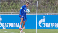 Amine Harit wird den FC Schalke 04 wohl verlassen