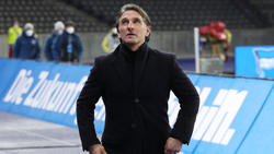 Bruno Labbadia könnte Trainer beim FC Schalke 04 werden