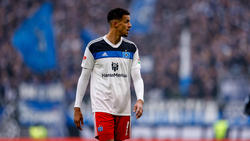 Verlässt Robert Glatzel den HSV im Sommer?