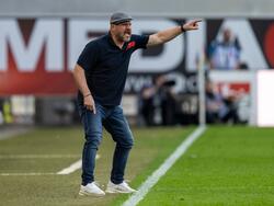 HSV-Trainer Steffen Baumgart will sein Team in der kommenden Saison zurück in die Bundesliga führen