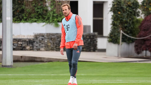 Der FC Bayern will wohl keinen Ersatz für Harry Kane verpflichten