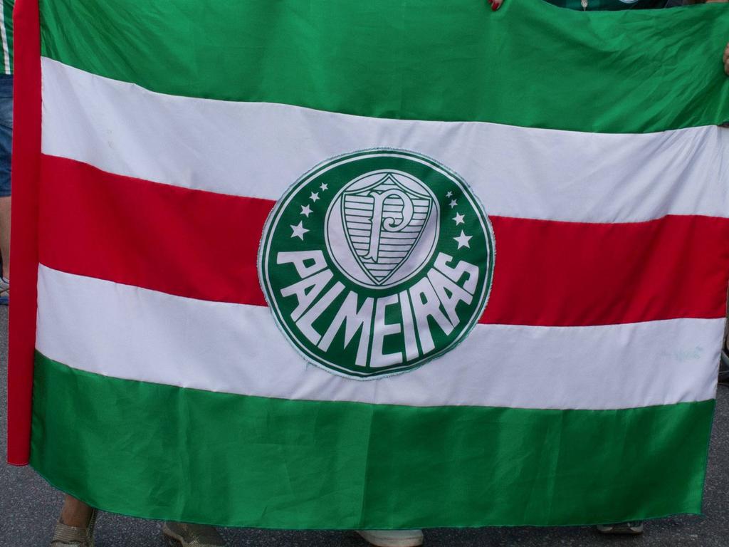 Palmeiras recibirá en la próxima jornada a Wilstermann. (Foto: Imago)