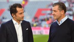 Buhlen Hasan Salihamidzic und Michael Zorc um Fabio Blanco?