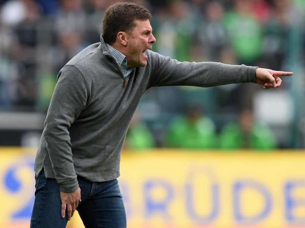 Dieter Hecking könnte der neue Mann an der Seitenlinie des Borussia-Park werden