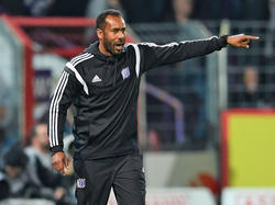 Daniel Thioune bleibt Coach des VfL Osnabrück