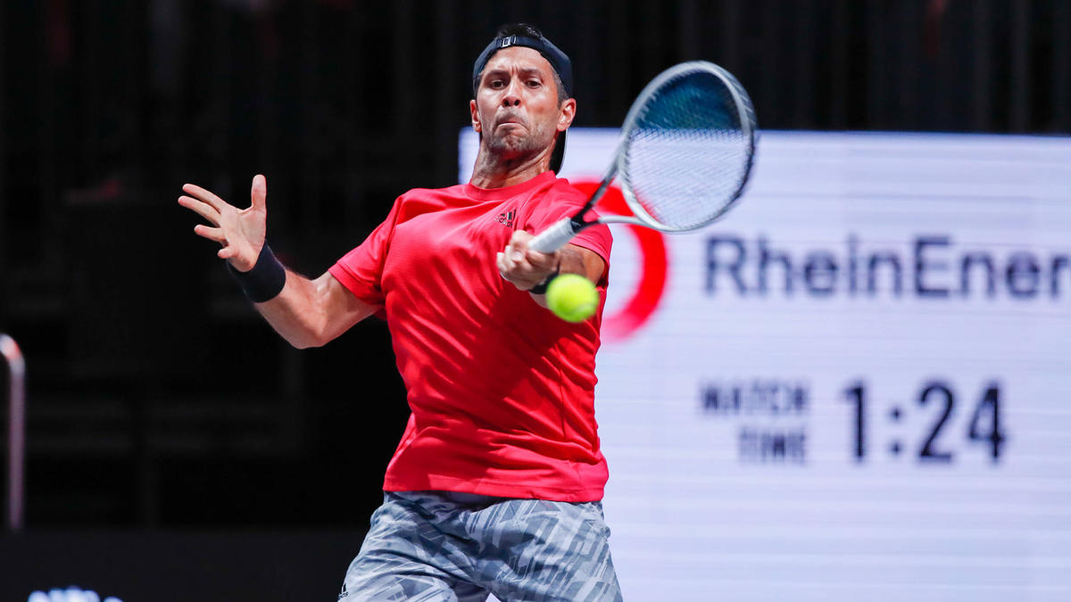 Besiegte Andy Murray und spielt nun gegen Alexander Zverev: Fernando Verdasco Besiegte Andy Murray und spielt nun gegen Alexander Zverev: Fernando Verdasco