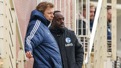 Der FC Schalke 04 braucht einen neuen Cheftrainer