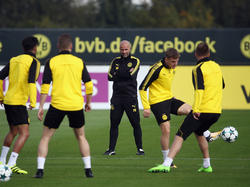 Peter Bosz ist seit dem Sommer Trainer des BVB