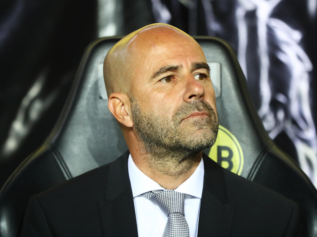 Peter Bosz ist vom Ancelotti-Aus enttäuscht Peter Bosz ist vom Ancelotti-Aus enttäuscht